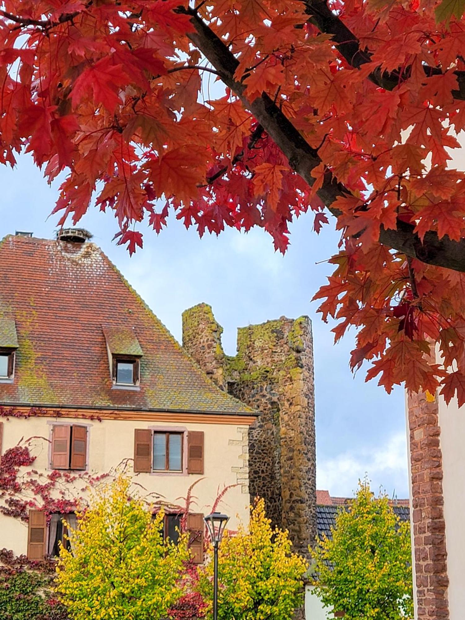 "La Vigne Dort" Cocon Romantique Herrlisheim-pres-Colmar Ngoại thất bức ảnh